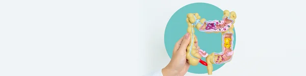 🔔DZIŚ o 19:30 zapraszamy na bezpłatny webinar "Błędy w diagnostyce MZJG - czy można ich uniknąć? Rola kolonoskopii"!