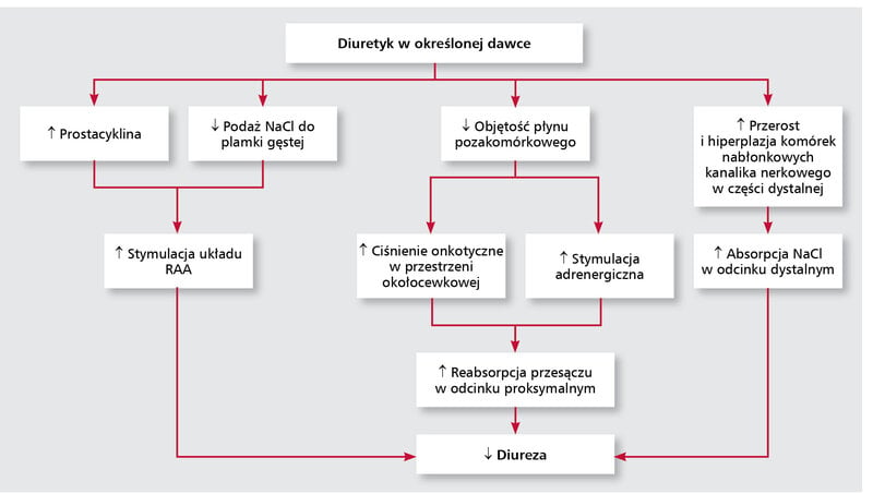 Rycina 2. Patomechanizm oporności na diuretyki.