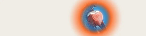 🔔DZIŚ o 18:30 zapraszamy na bezpłatny webinar "Indywidualizacja leczenia przeciwbólowego"!