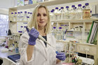 prof. dr hab. Agnieszka Dobrzyń