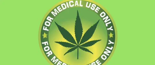 Marihuana: tani i skuteczny lek czy przepustka do narkomanii?