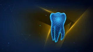 Stomatologia 2026