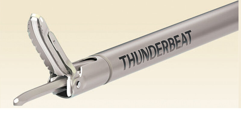 Rycina 2. Platforma Thunderbeat.
