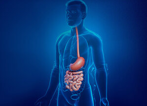 Gastroenterologia 2021