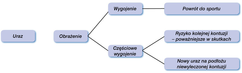 Ryc. 1. Konsekwencje obrażeń sportowych