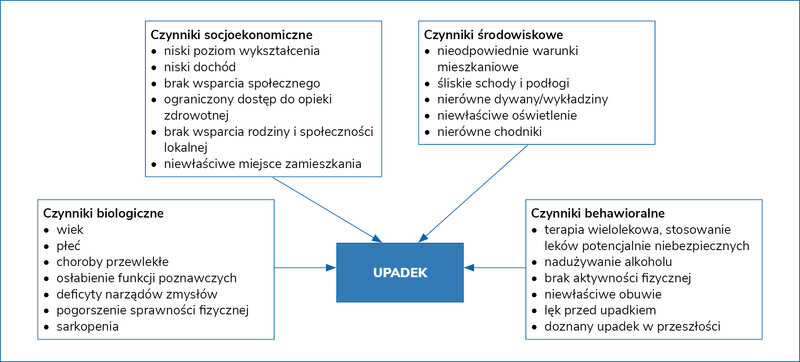 Rycina 1. Grupy czynników ryzyka upadku u osób starszych3