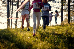 Gettyimages.com