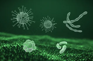 Dlaczego infekcje nawracają? Kontrowersje wokół antybiotyków i substancji biobójczych