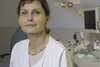 prof. Małgorzata Wierzbicka