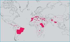 Small original 19510