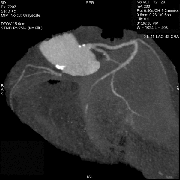 Medium ryc.3