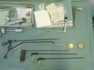 Small zieli%c3%b1ski ryc.2 sk%c2%b3ad opt