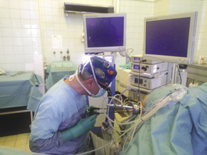 Small zieli%c3%b1ski ryc.3 sk%c2%b3ad opt