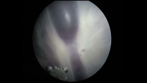 Small %c5%9awi%c4%85tkowska ryc2 opt