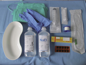 Small plocek rycina 1 opt