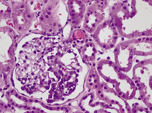 Small mpd 1 2012 krajewska 1 opt