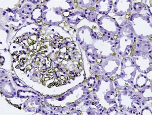 Small mpd 1 2012 krajewska 2 opt