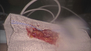 Small 2014 08 05 011117 img0 opt