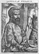 Small vesalius fabrica portr opt