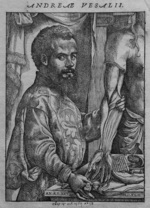 Small 1 vesalius fabrica por opt