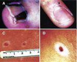 Small ryc 1 opt