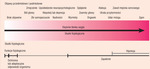 Small ryc 1 nejm opt